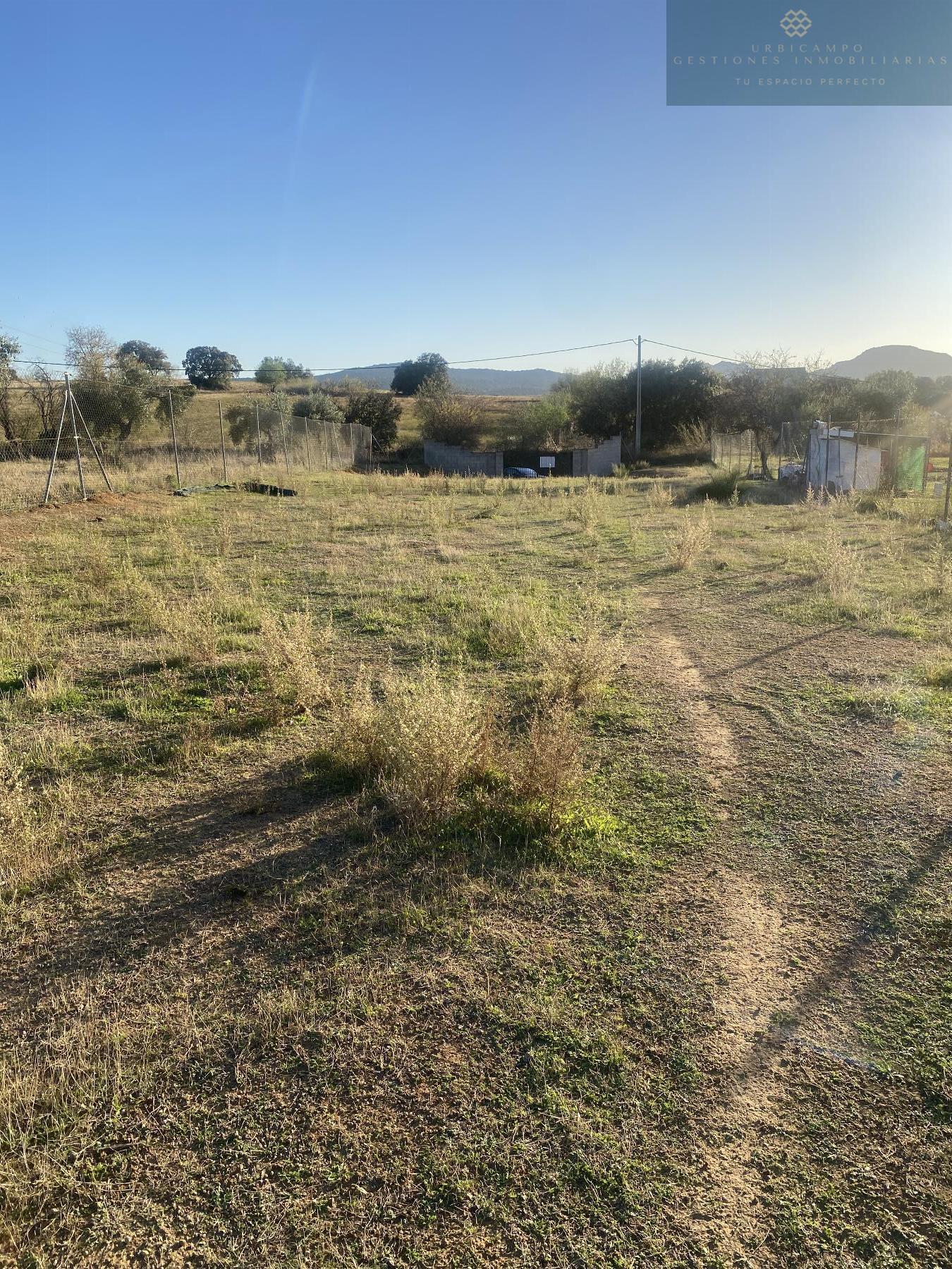 Venta de finca rústica en Don Álvaro