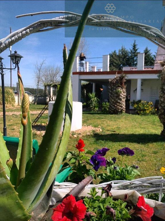 For sale of hotel in Barbaño