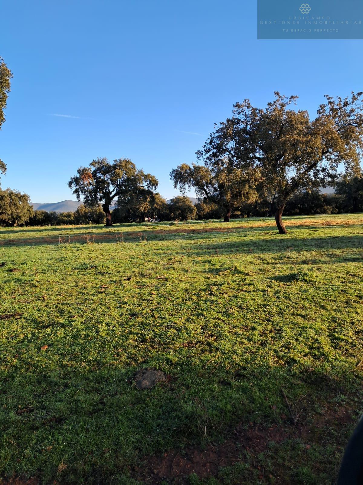 For sale of rural property in Carmonita