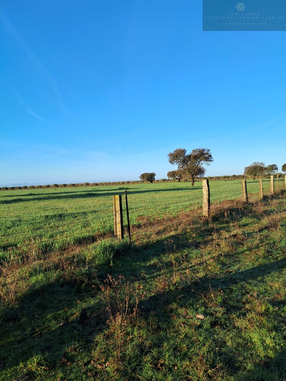 For sale of rural property in Carmonita