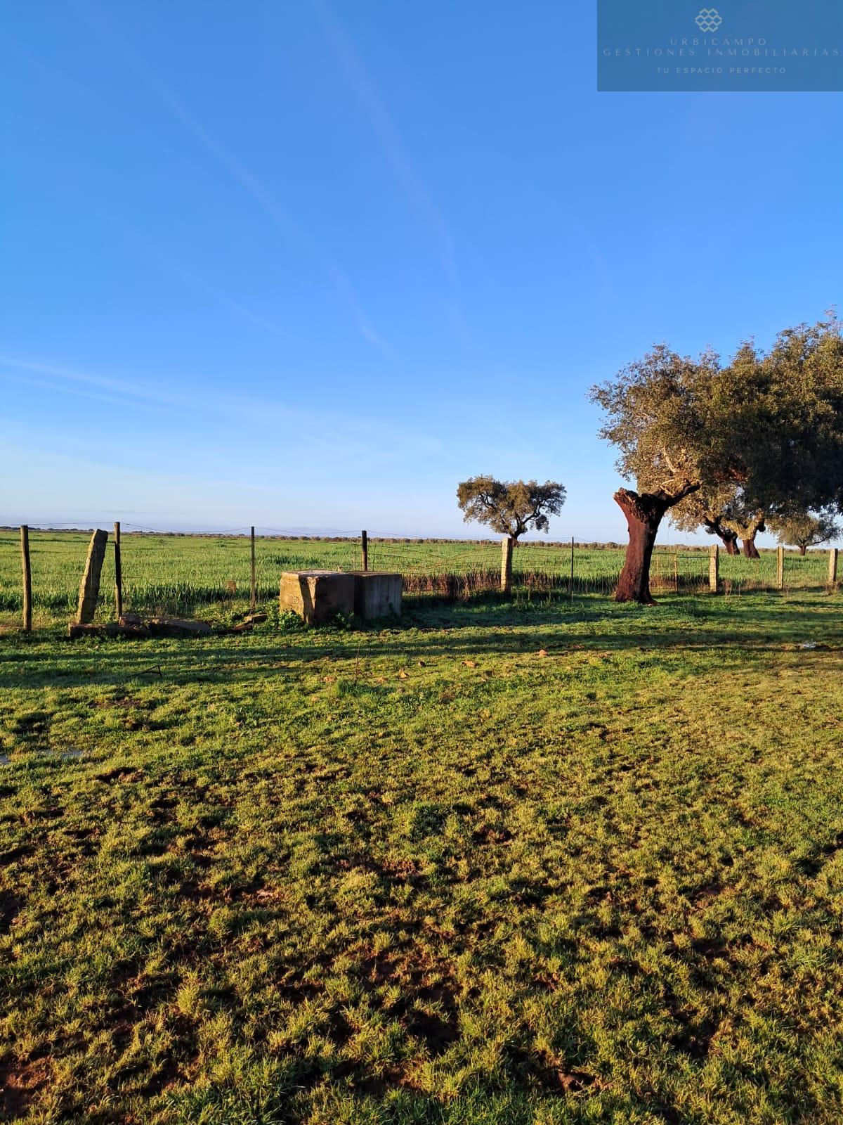 For sale of rural property in Carmonita
