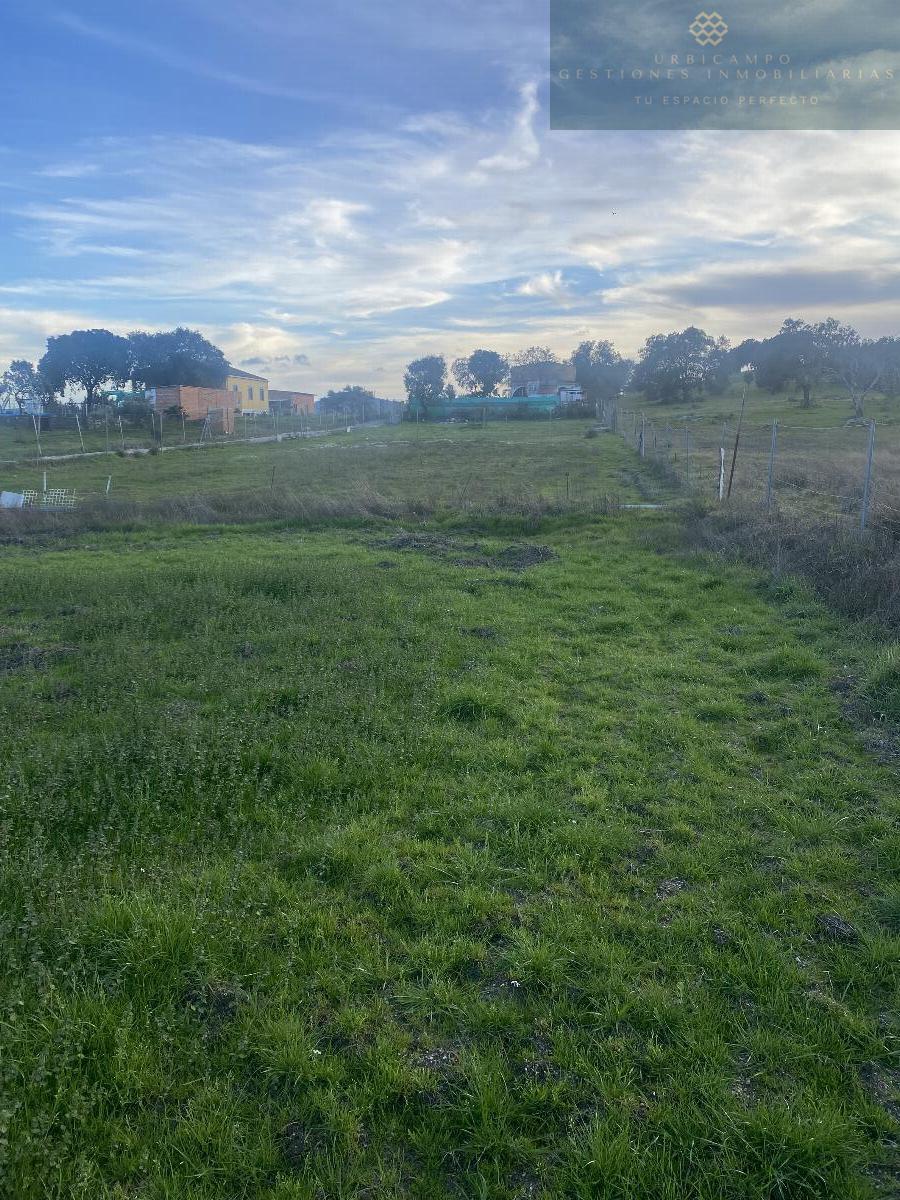 Venta de finca rústica en Mérida