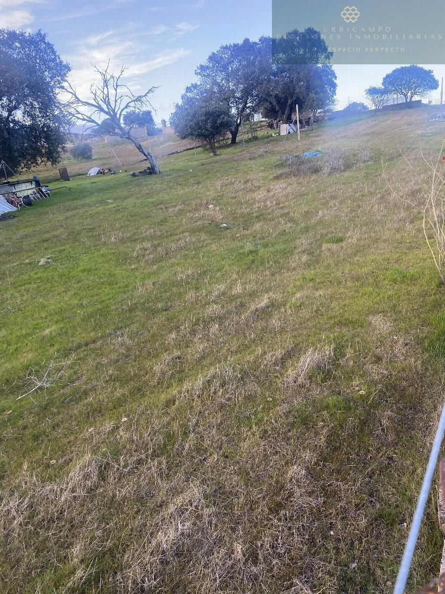 Venta de finca rústica en Mérida