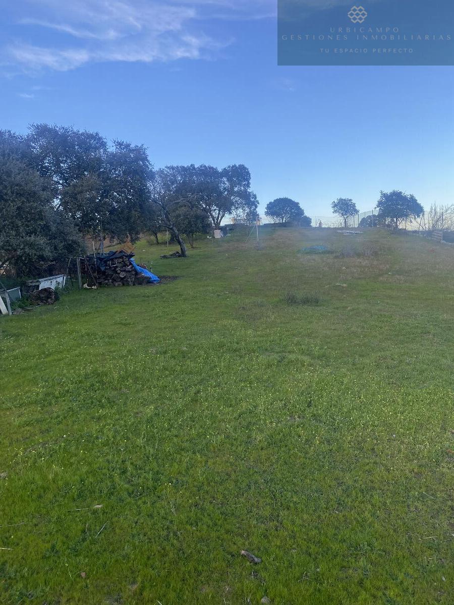 Venta de finca rústica en Mérida