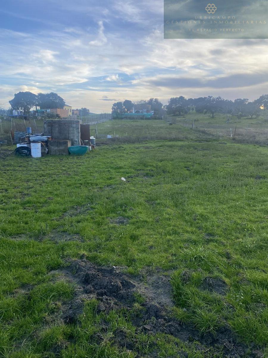 Venta de finca rústica en Mérida
