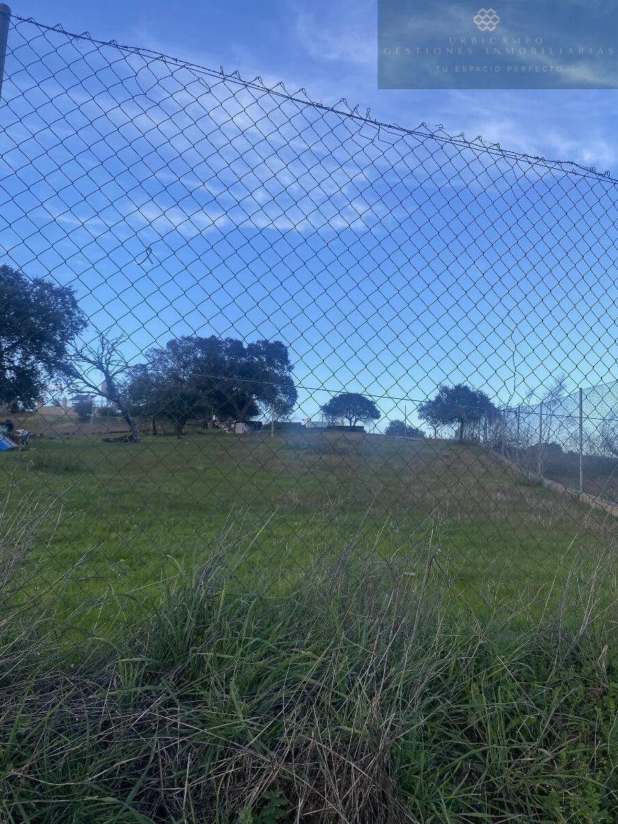 Venta de finca rústica en Mérida