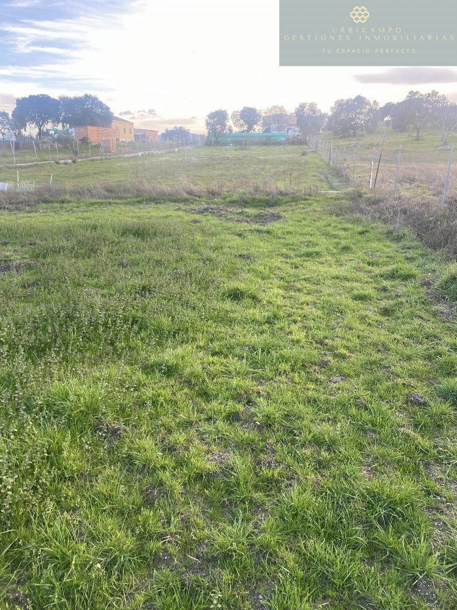 Venta de finca rústica en Mérida