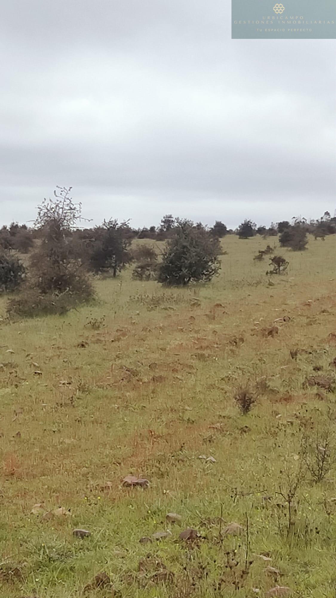 Venta de finca rústica en La Nava de Santiago