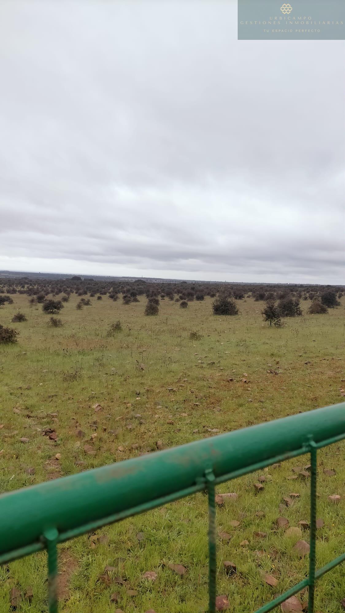 Venta de finca rústica en La Nava de Santiago