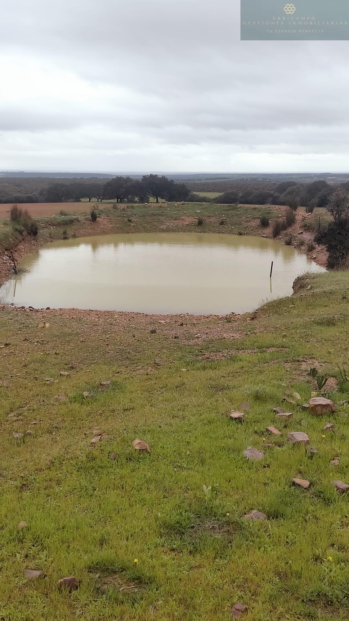 Venta de finca rústica en La Nava de Santiago