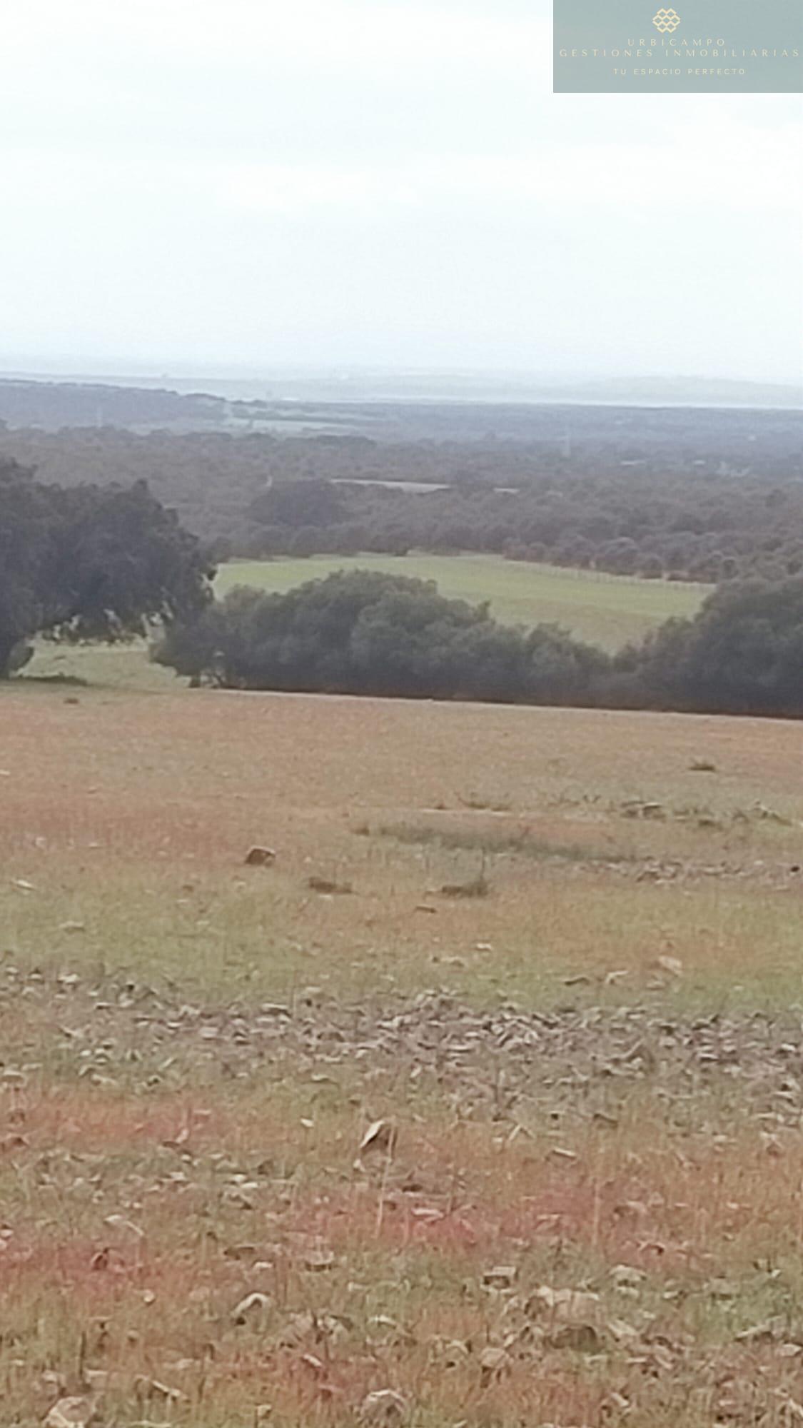 Venta de finca rústica en La Nava de Santiago