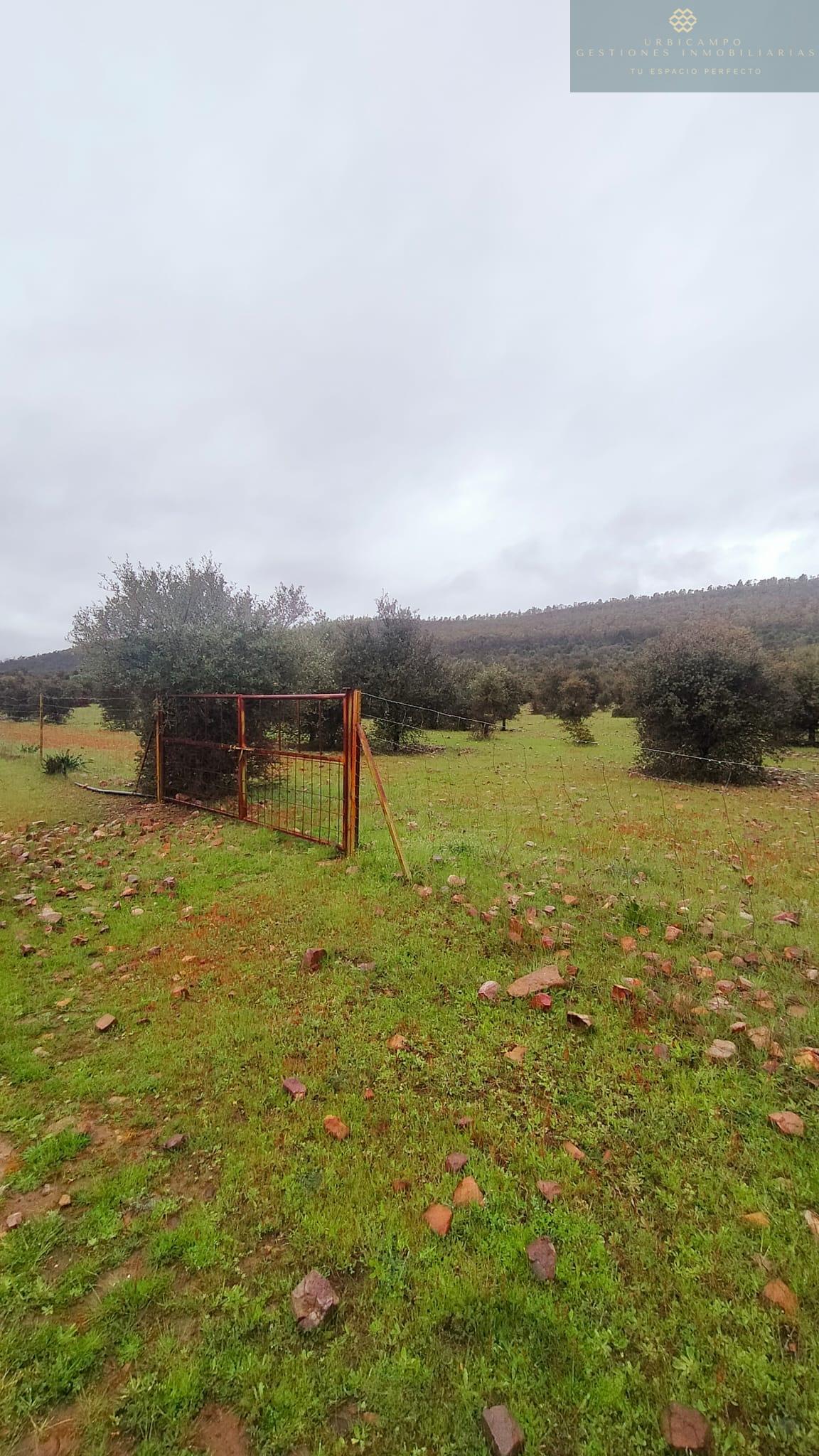 Venta de finca rústica en La Nava de Santiago