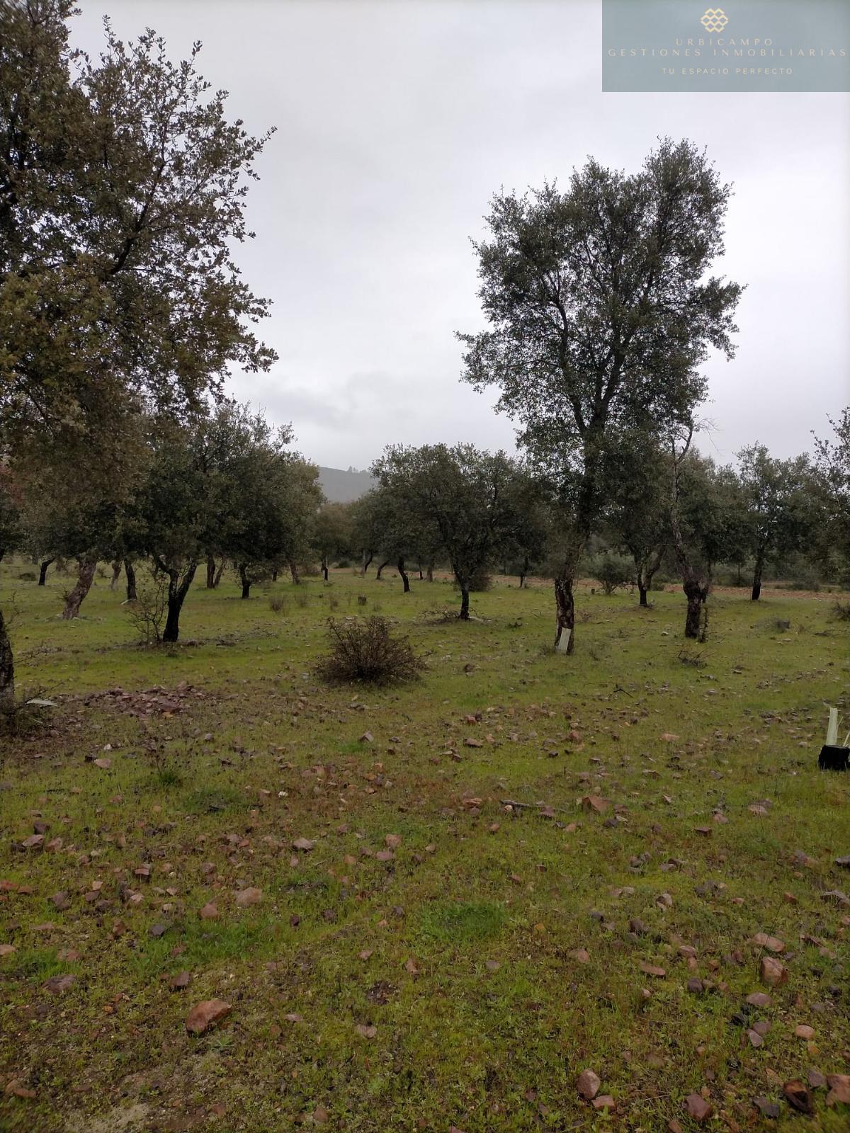 Venta de finca rústica en La Nava de Santiago