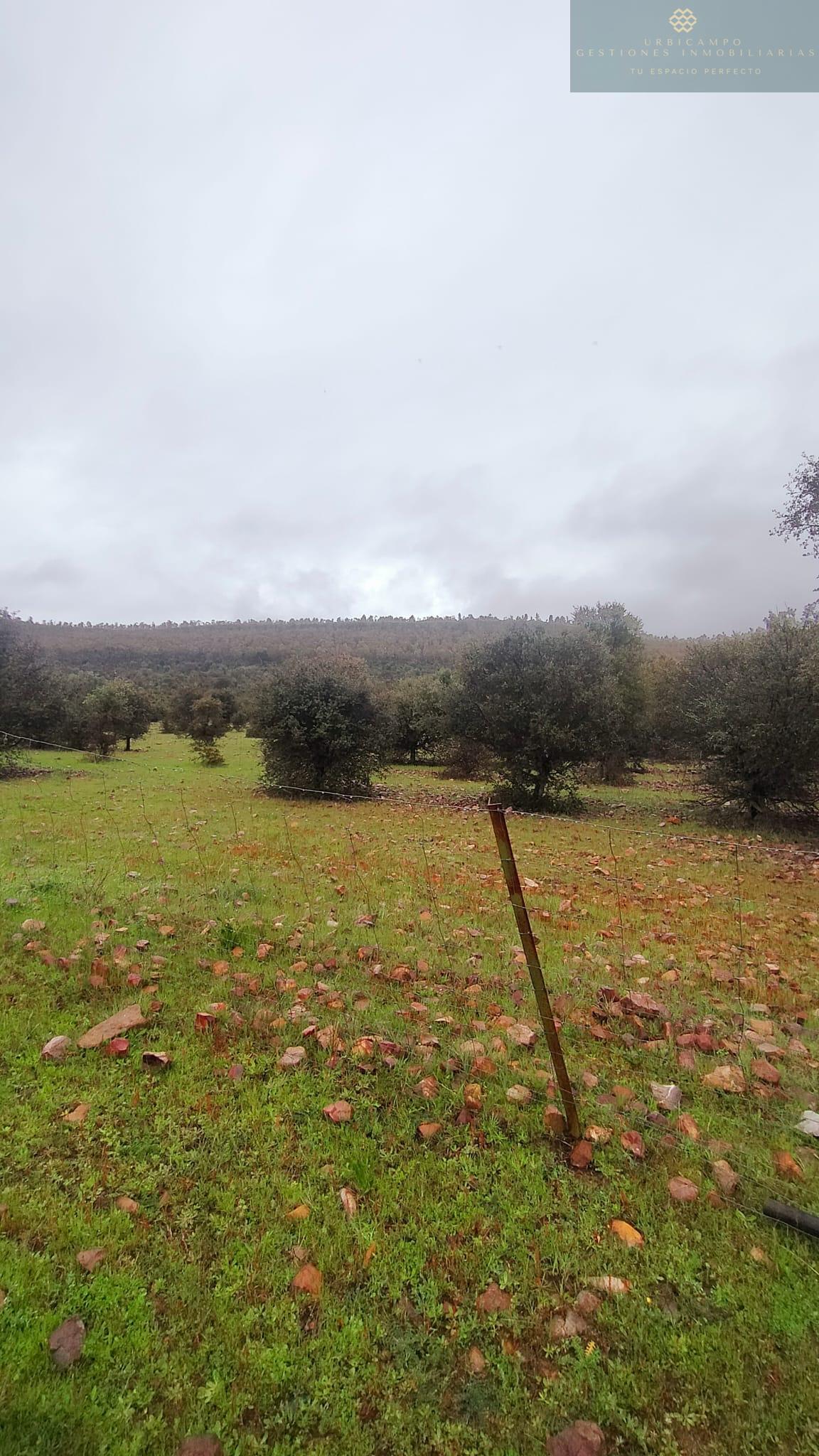 Venta de finca rústica en La Nava de Santiago