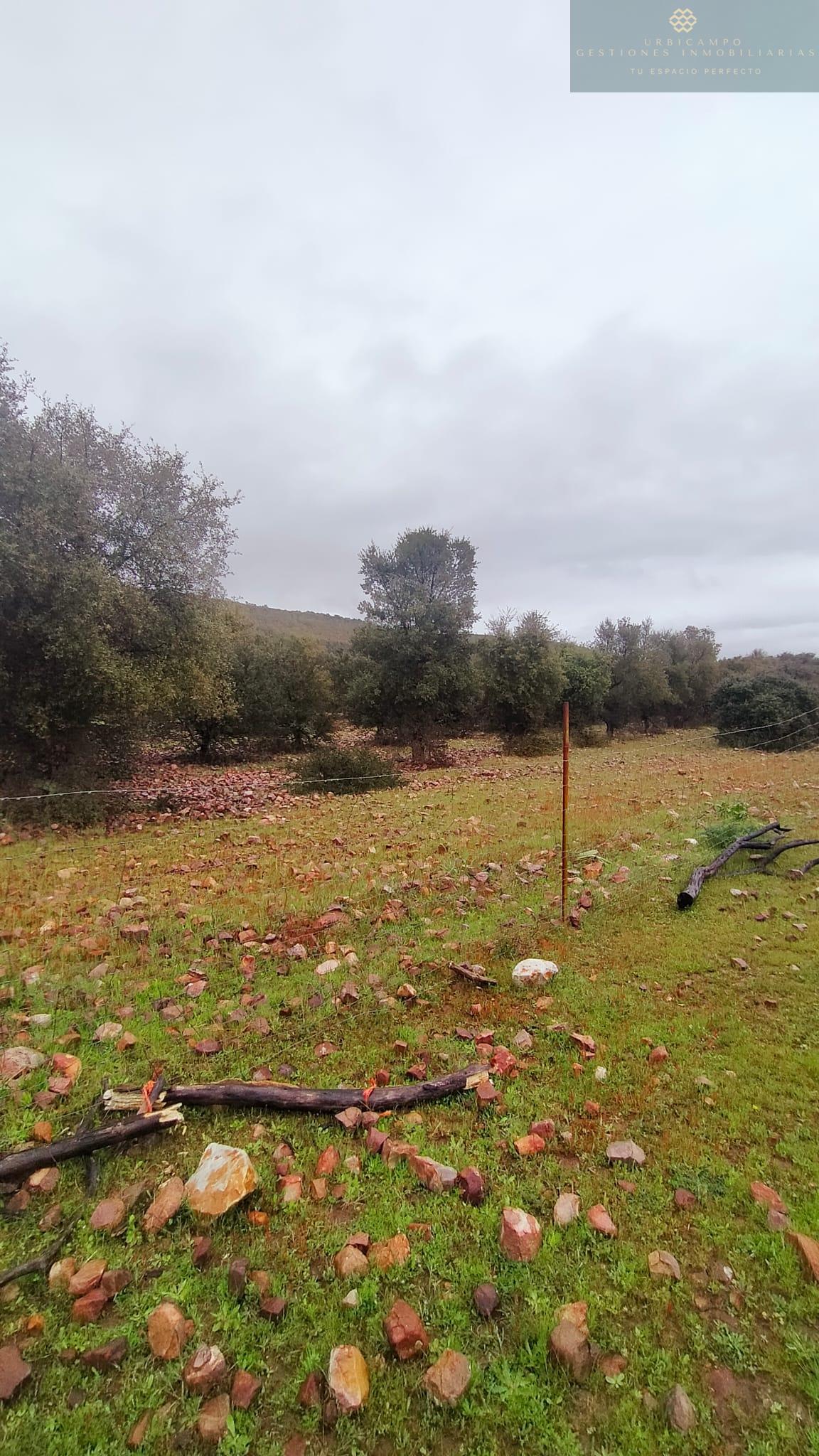 Venta de finca rústica en La Nava de Santiago