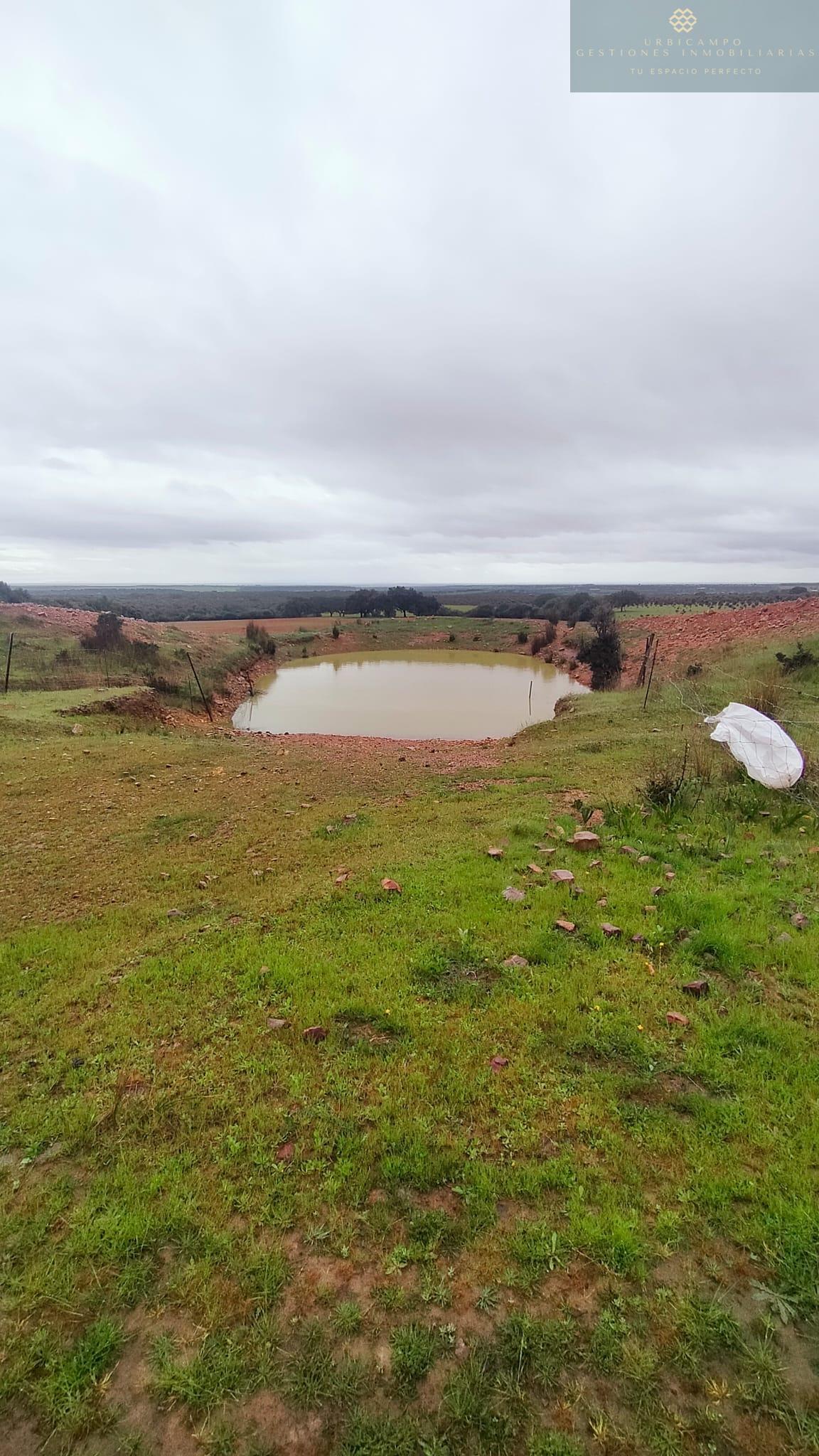 Venta de finca rústica en La Nava de Santiago