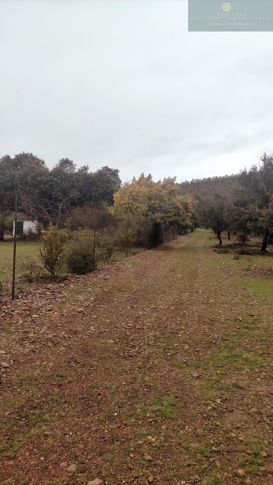 Venta de finca rústica en La Nava de Santiago