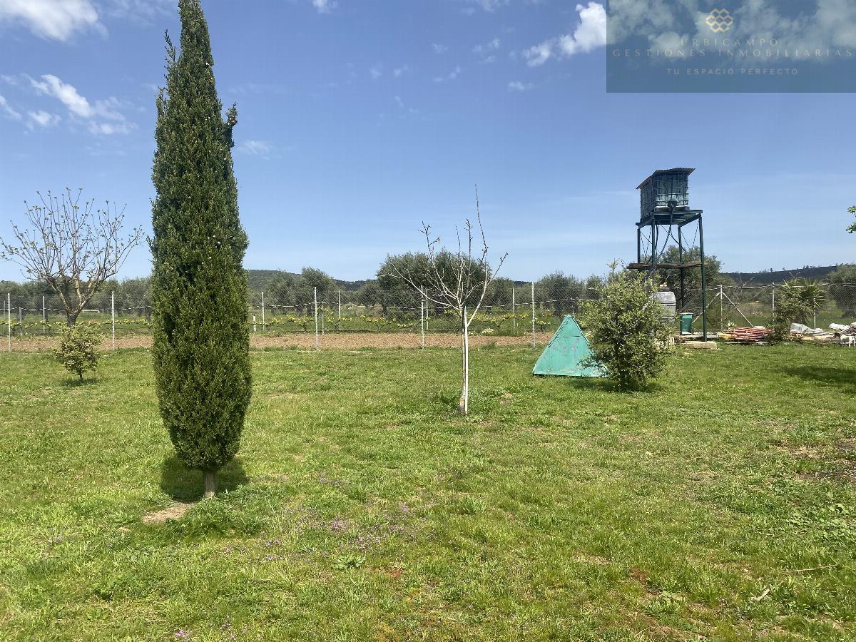 For sale of rural property in Mirandilla