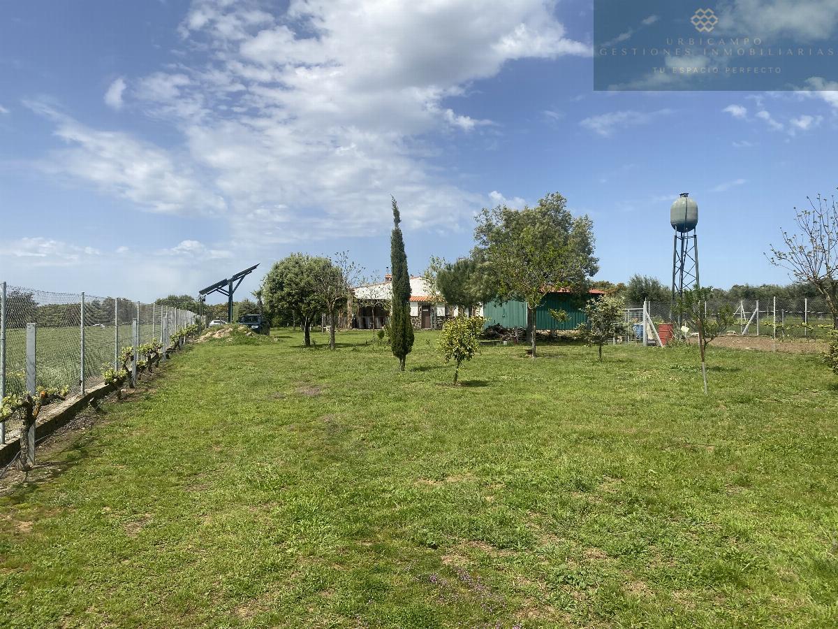For sale of rural property in Mirandilla