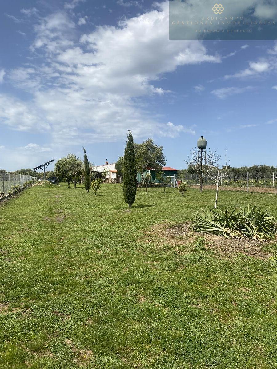 For sale of rural property in Mirandilla