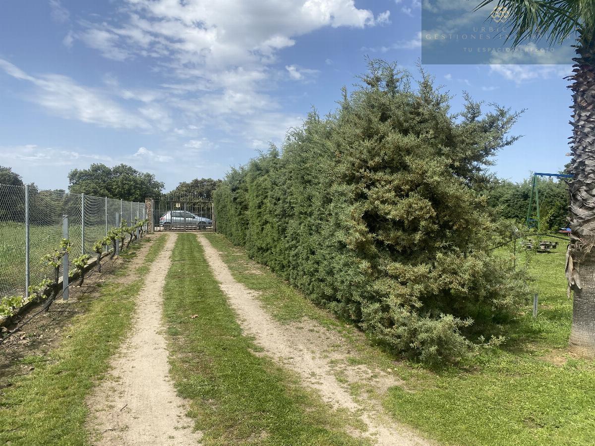 For sale of rural property in Mirandilla
