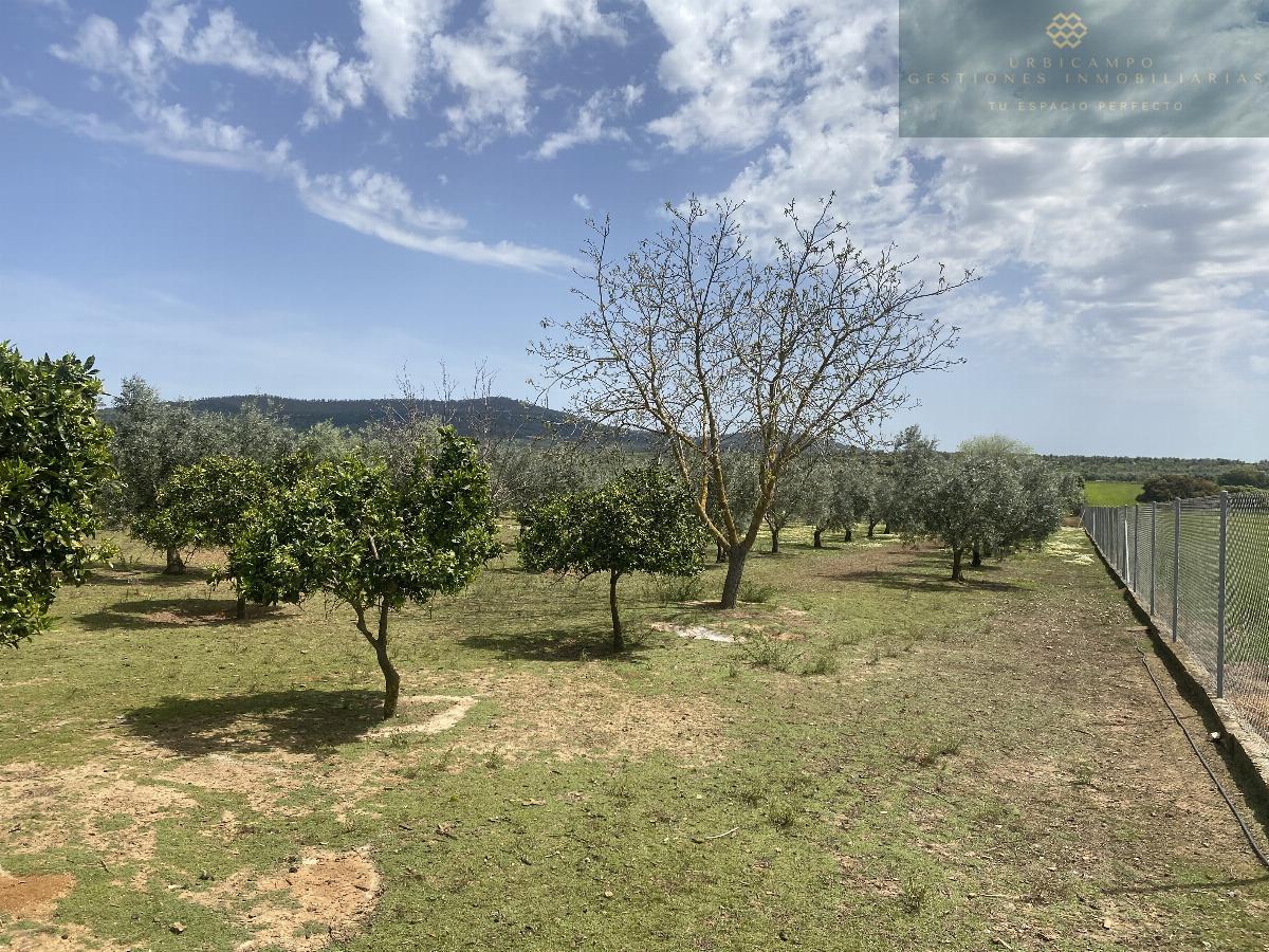 For sale of rural property in Mirandilla
