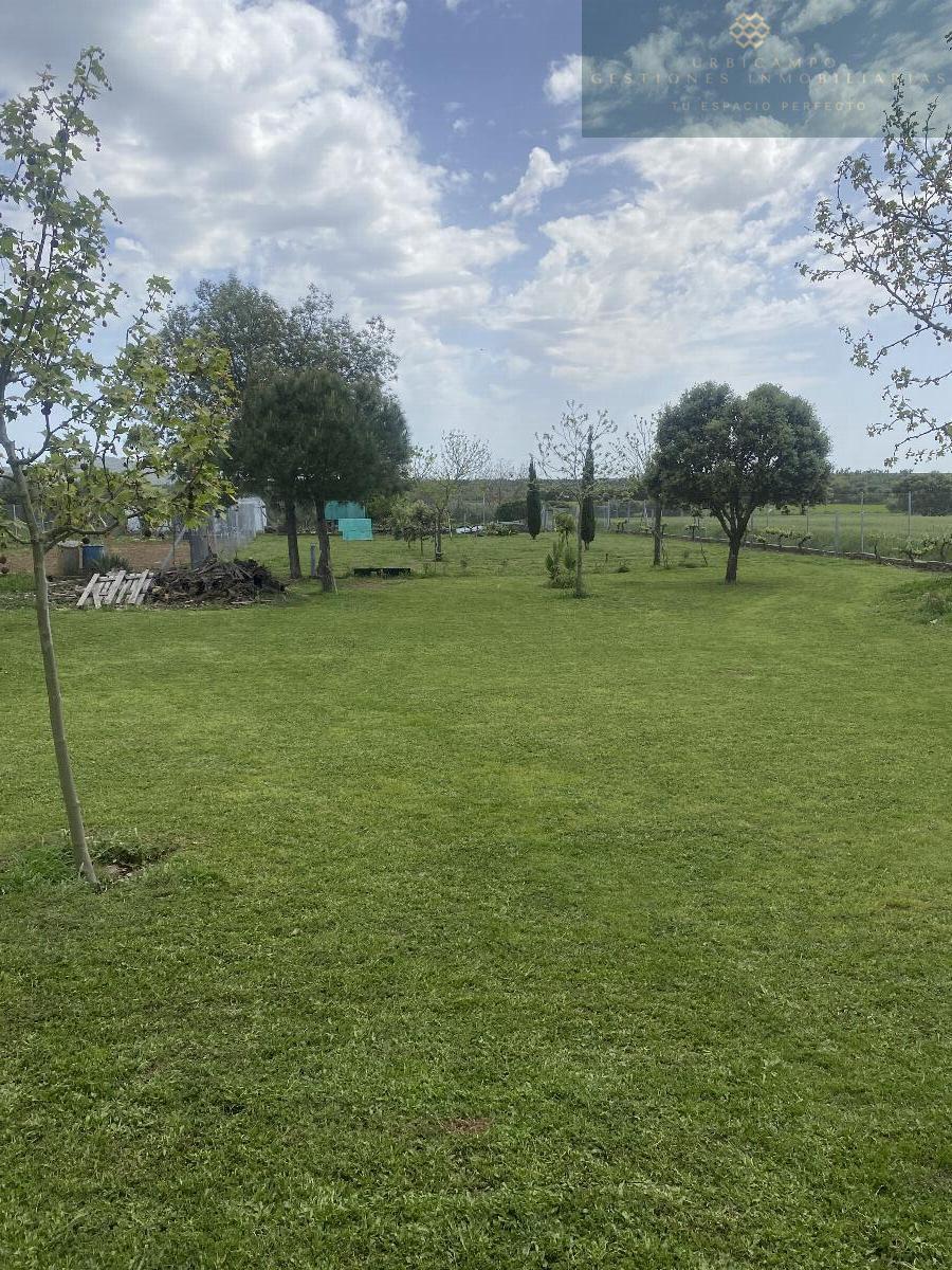 For sale of rural property in Mirandilla