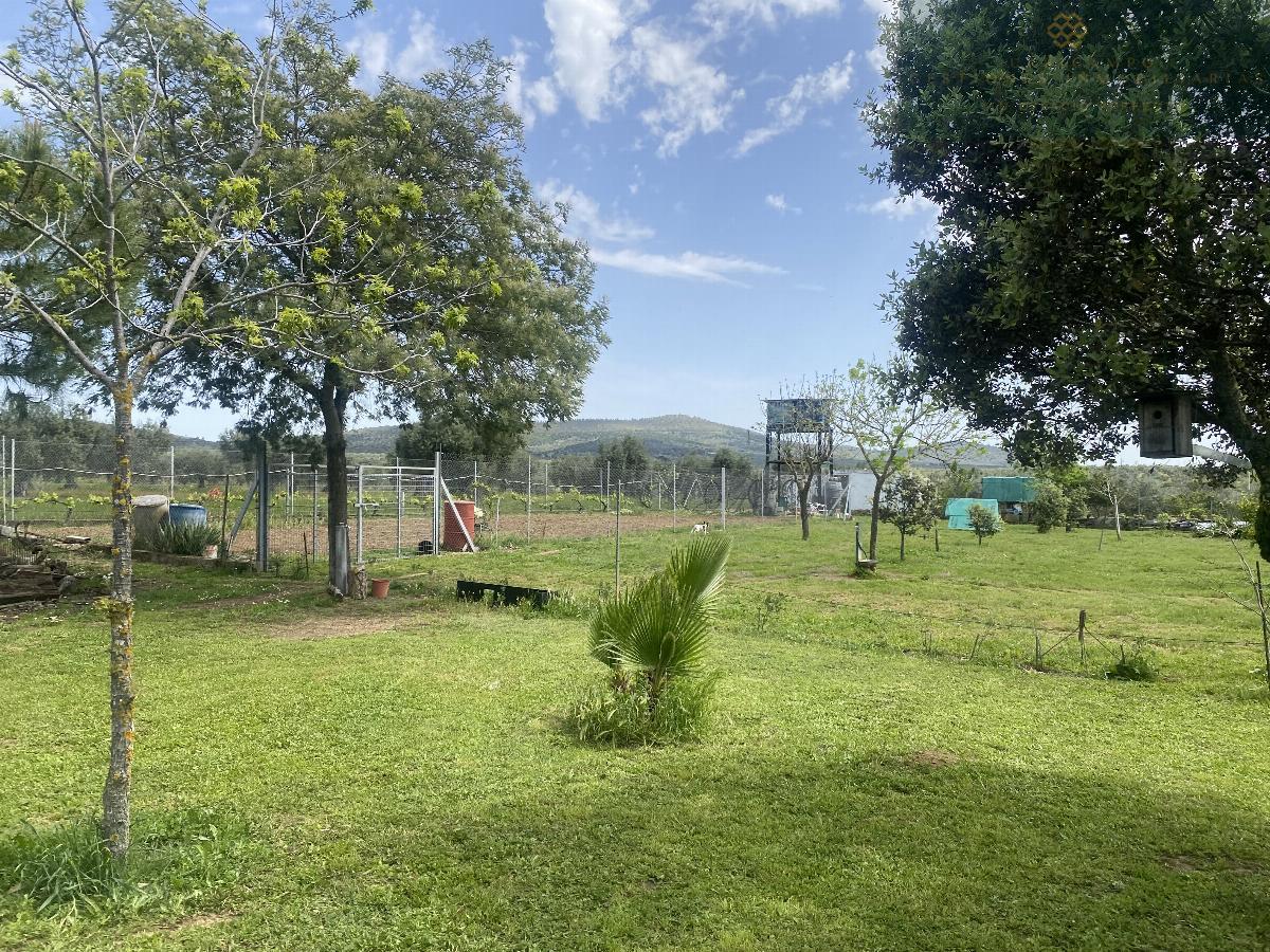 For sale of rural property in Mirandilla