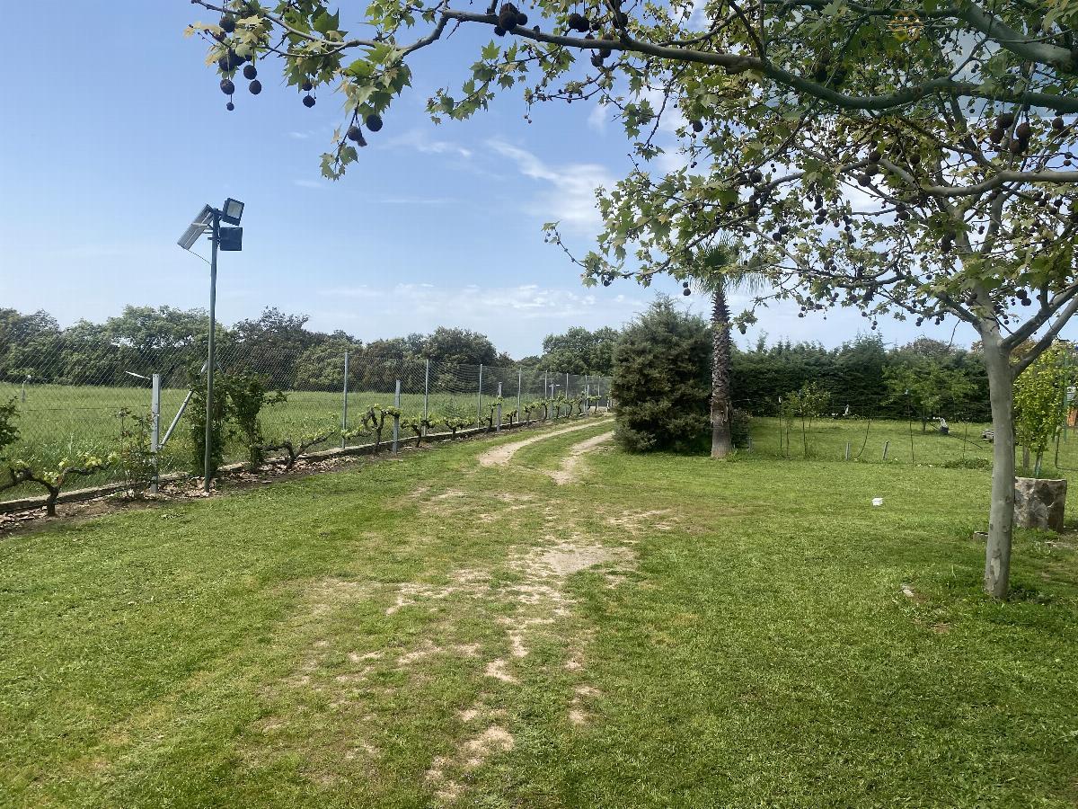 For sale of rural property in Mirandilla