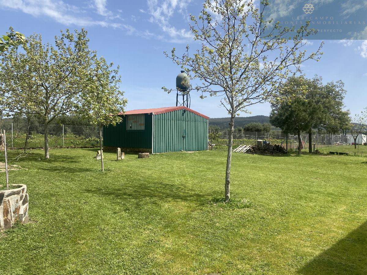 For sale of rural property in Mirandilla