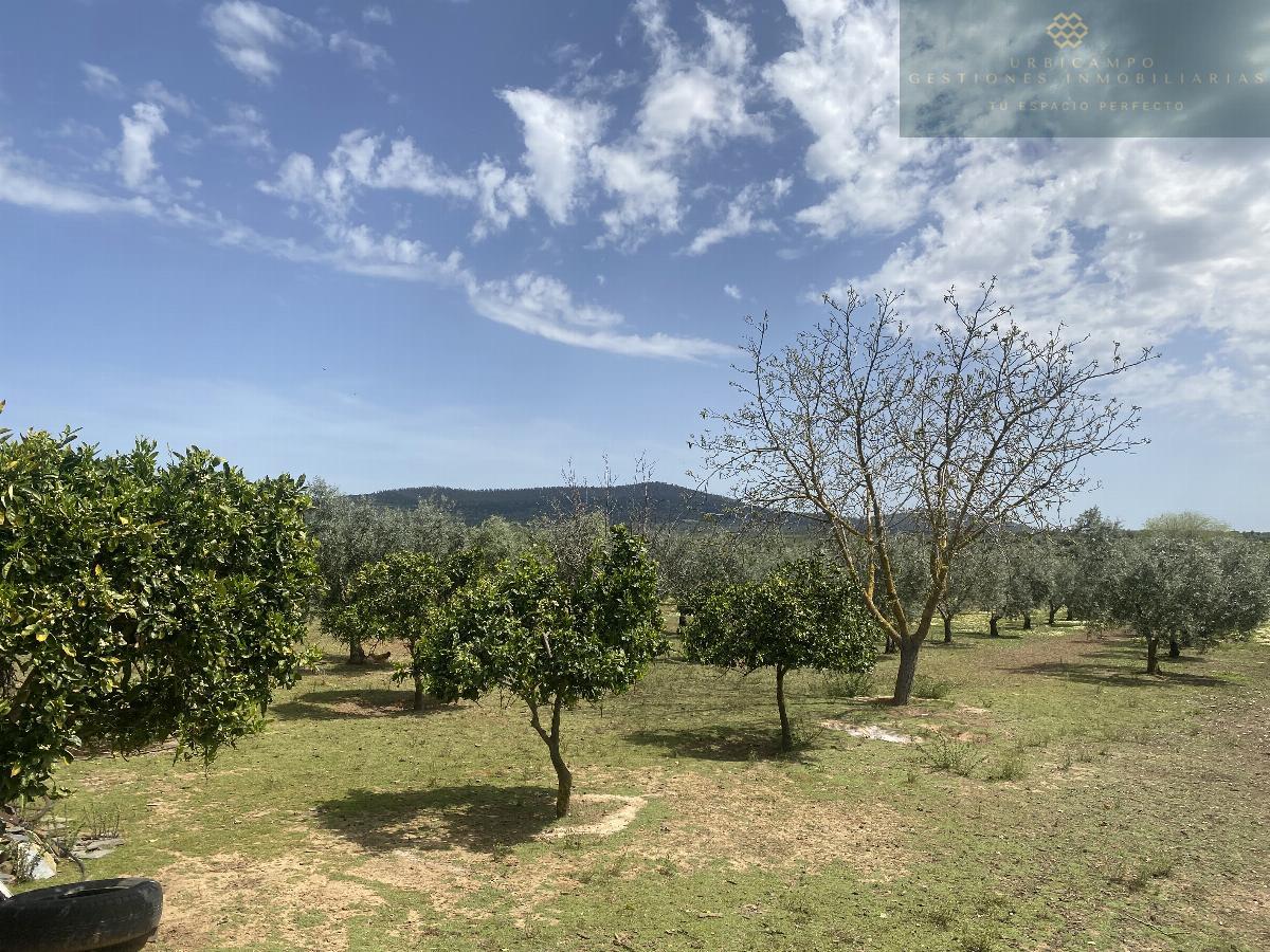 For sale of rural property in Mirandilla
