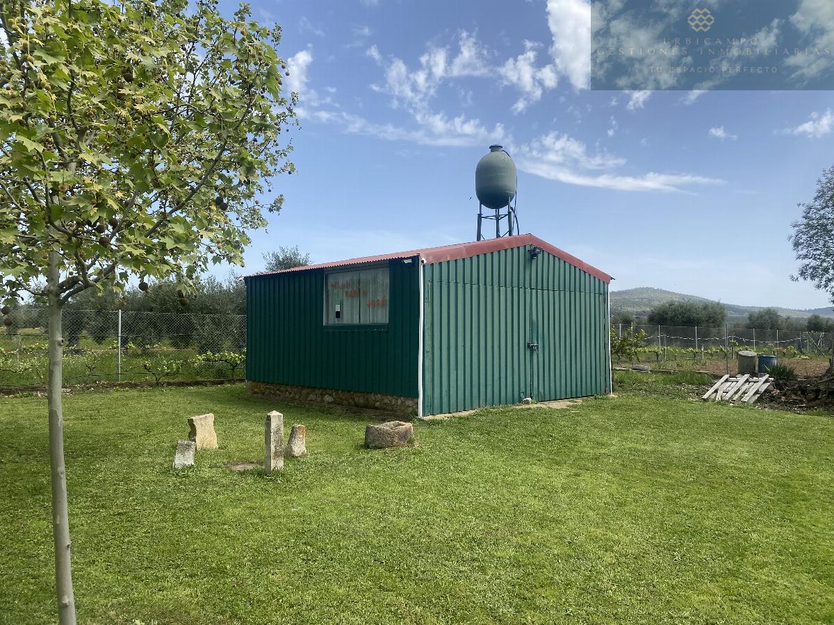 For sale of rural property in Mirandilla