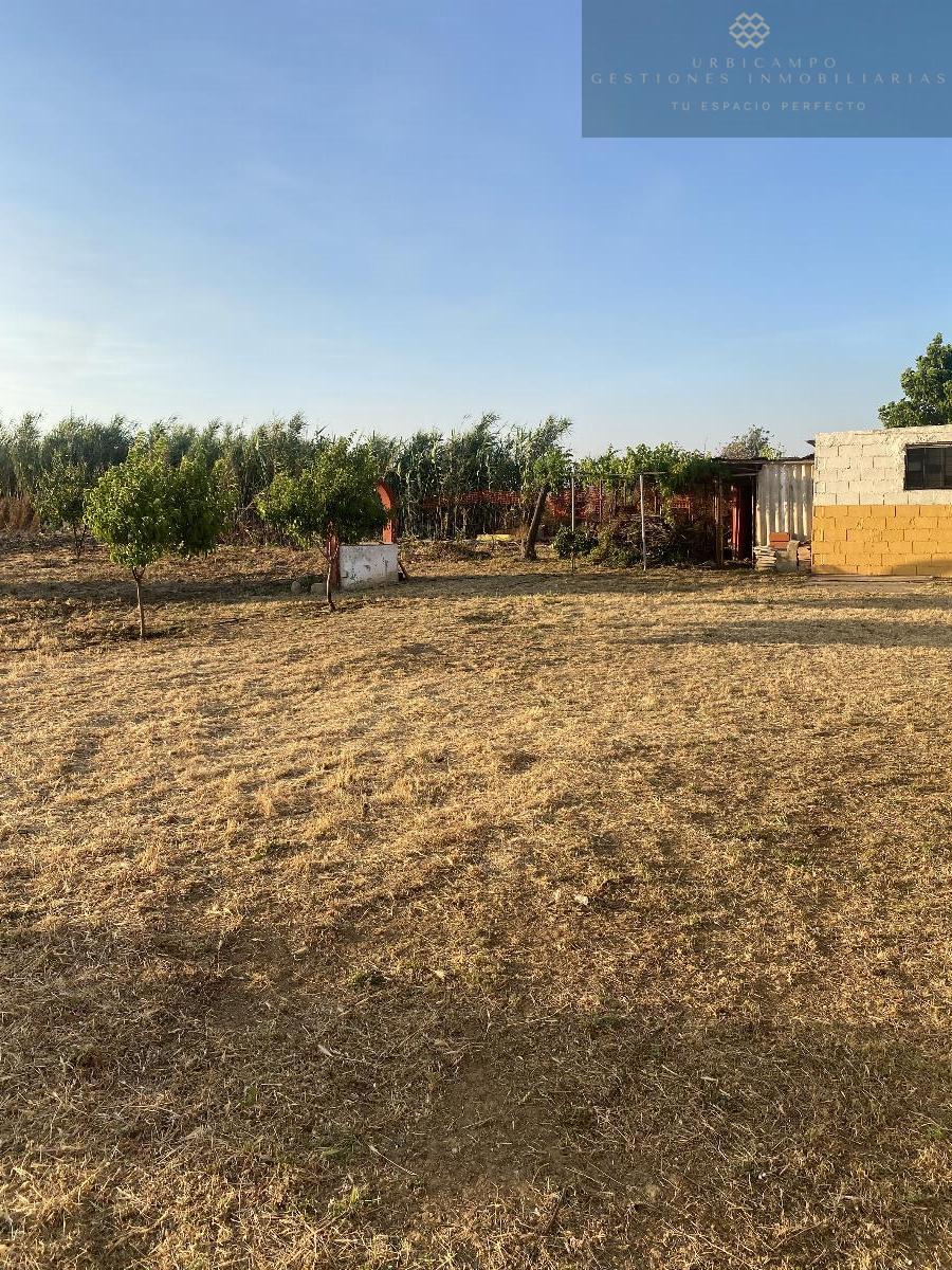 Terreno