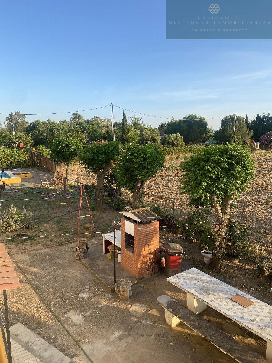 Barbacoa