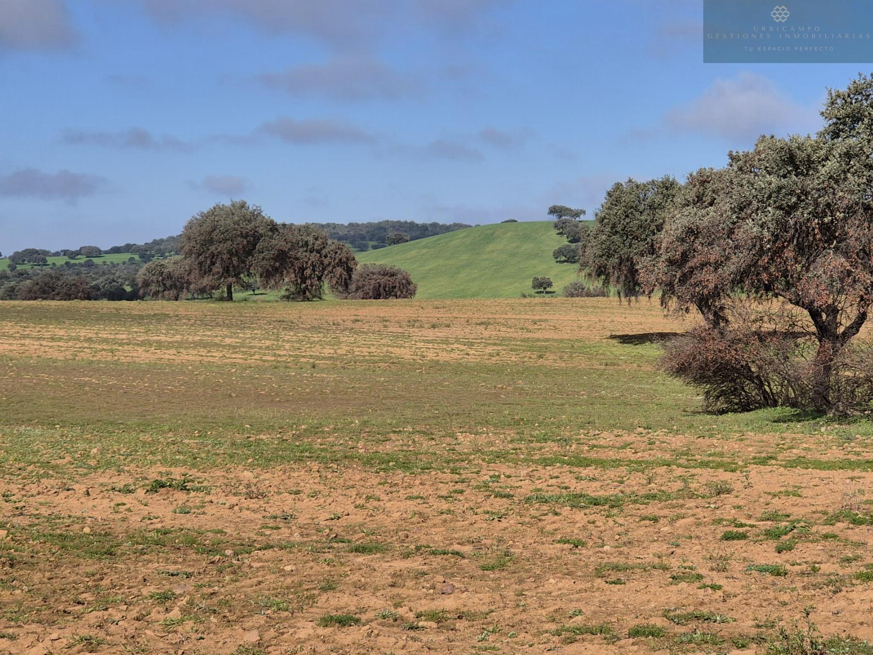 For sale of rural property in Oliva de Mérida