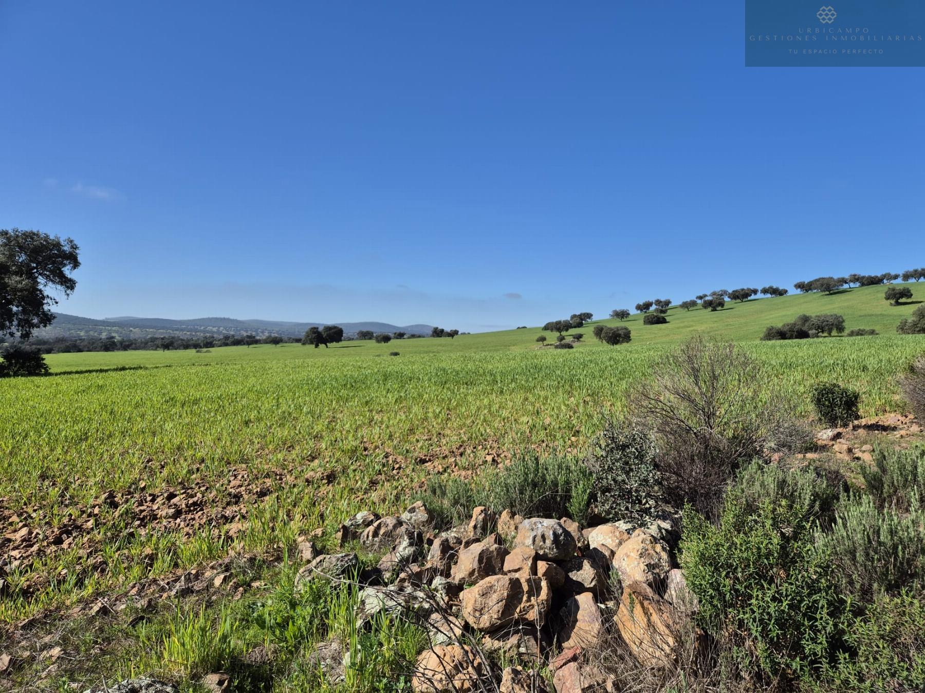For sale of rural property in Oliva de Mérida