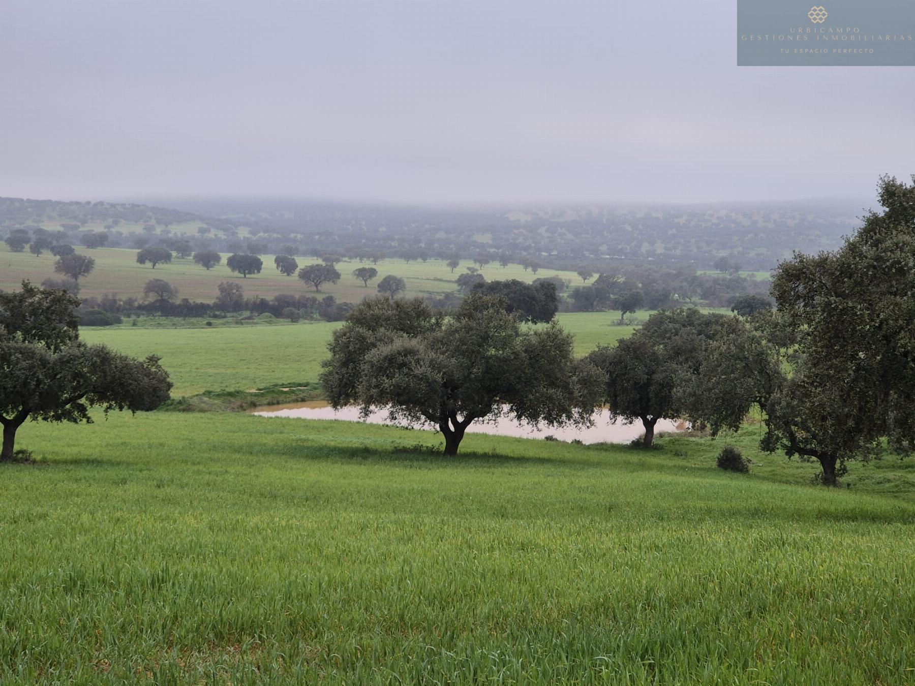 For sale of rural property in Oliva de Mérida