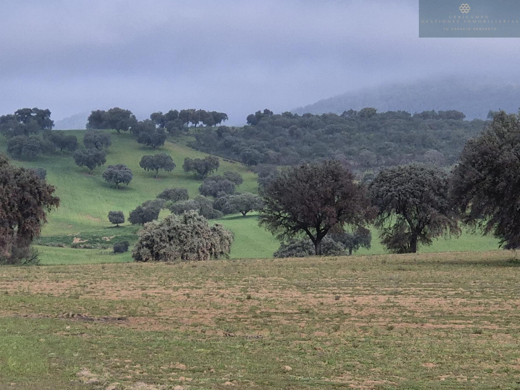For sale of rural property in Oliva de Mérida