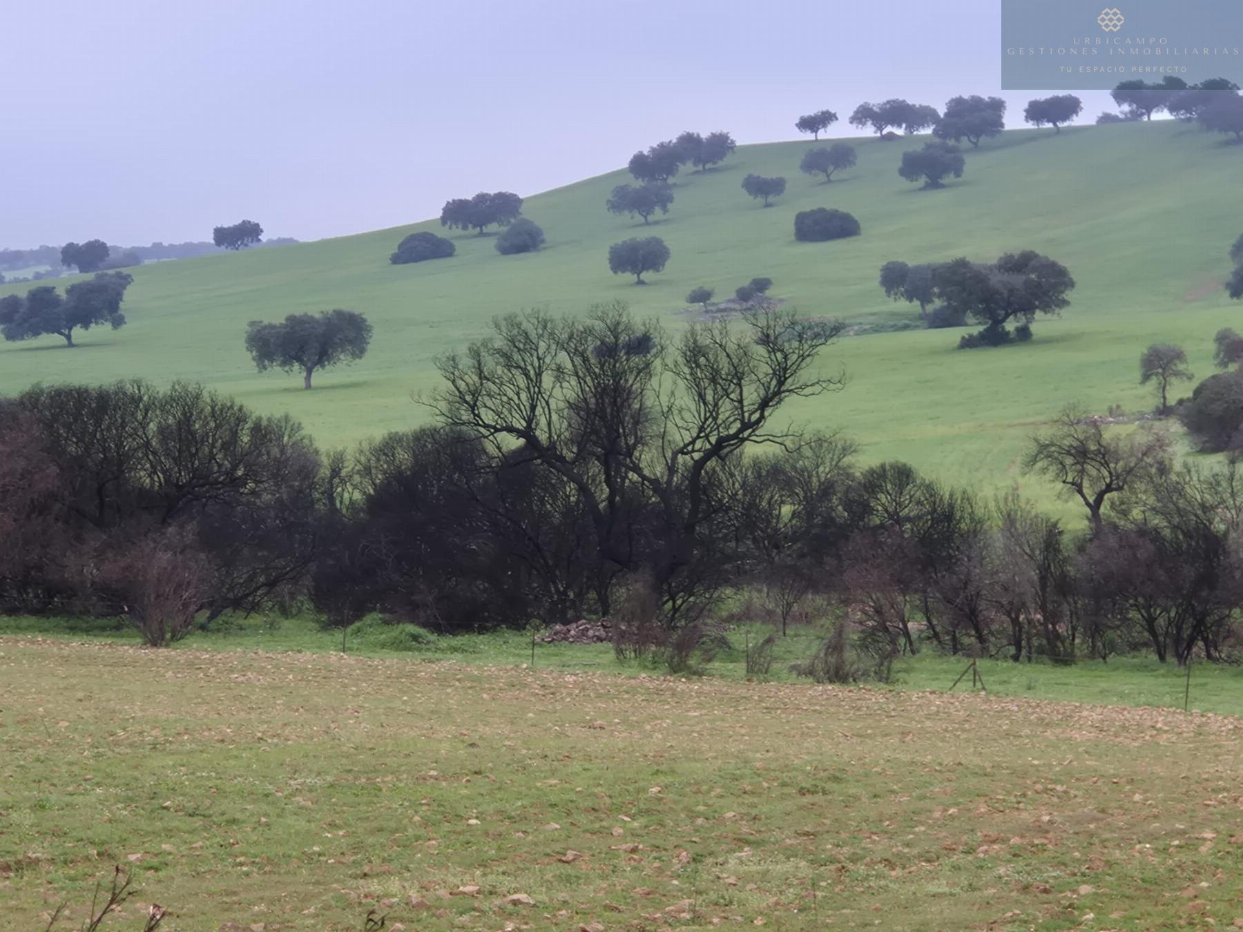 For sale of rural property in Oliva de Mérida