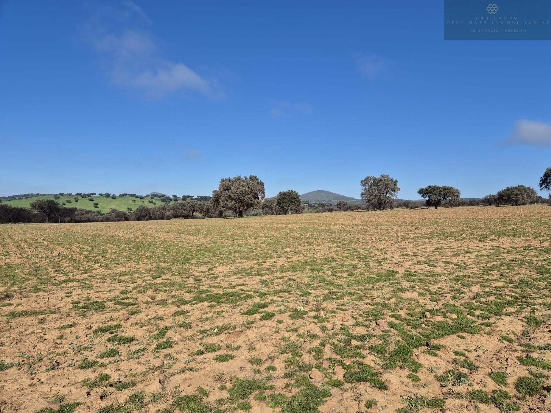 For sale of rural property in Oliva de Mérida