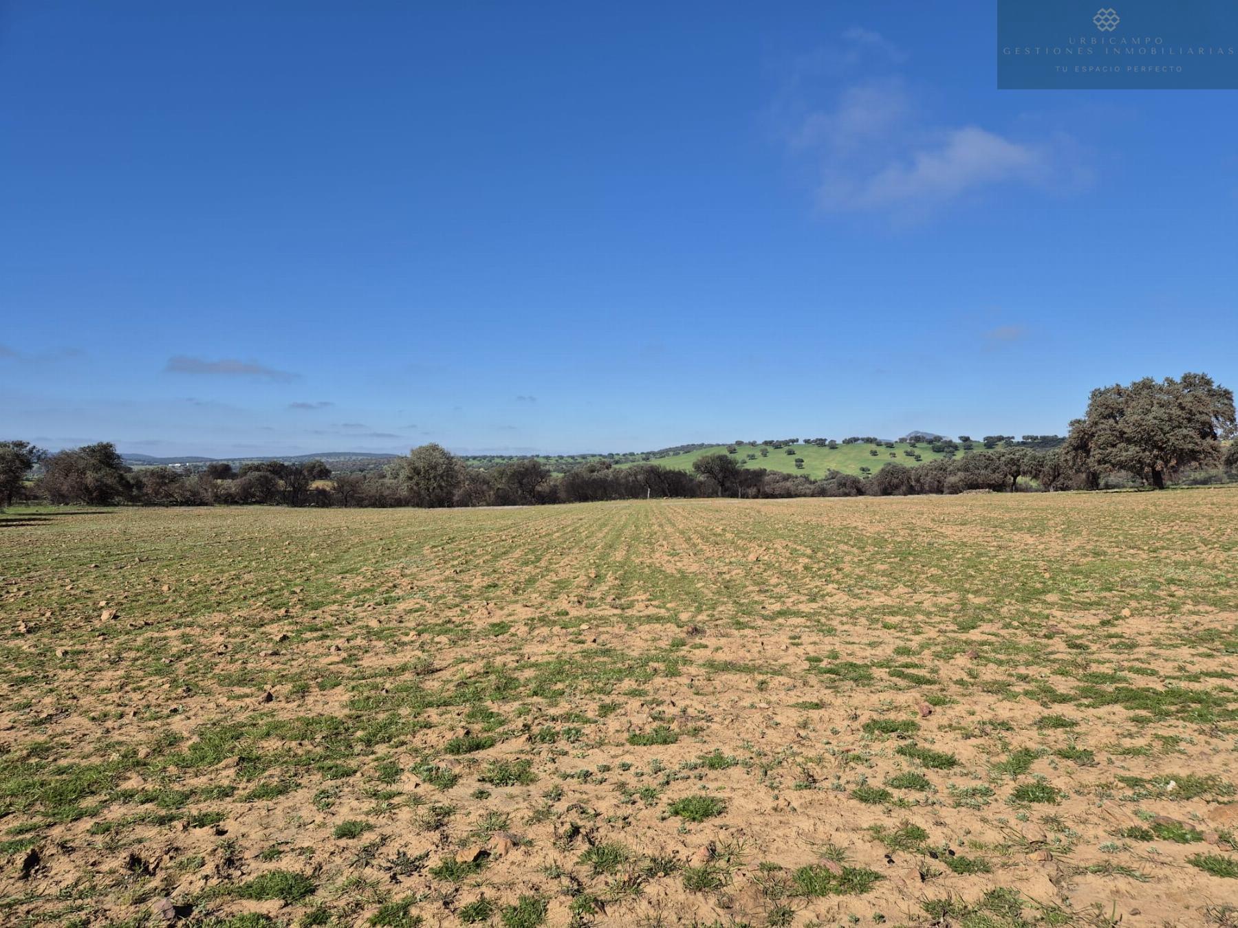For sale of rural property in Oliva de Mérida