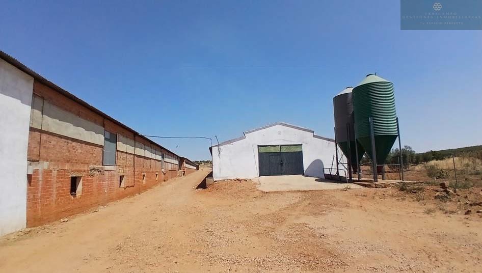 Venta de finca rústica en Cristina