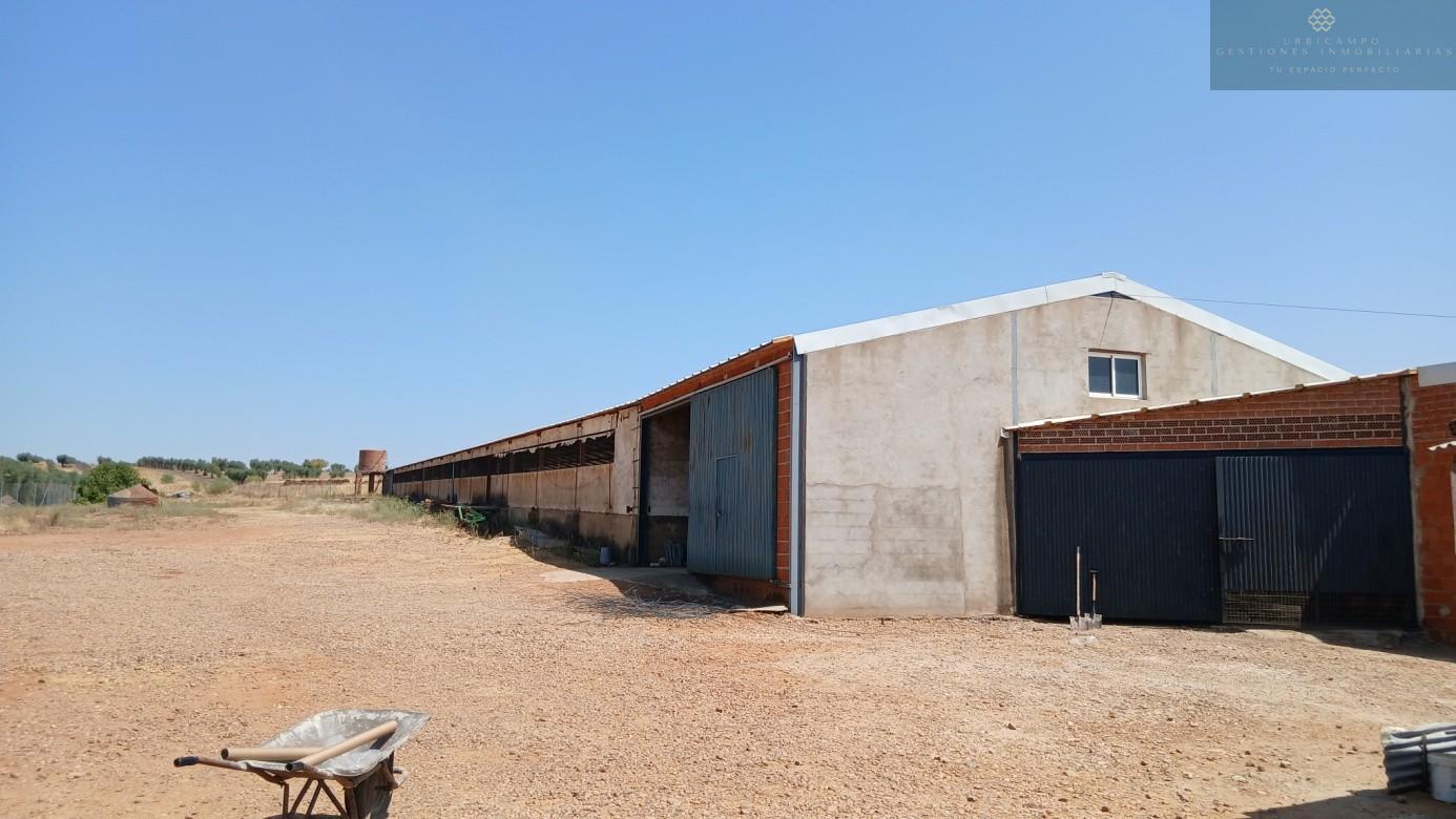 Venta de finca rústica en Cristina