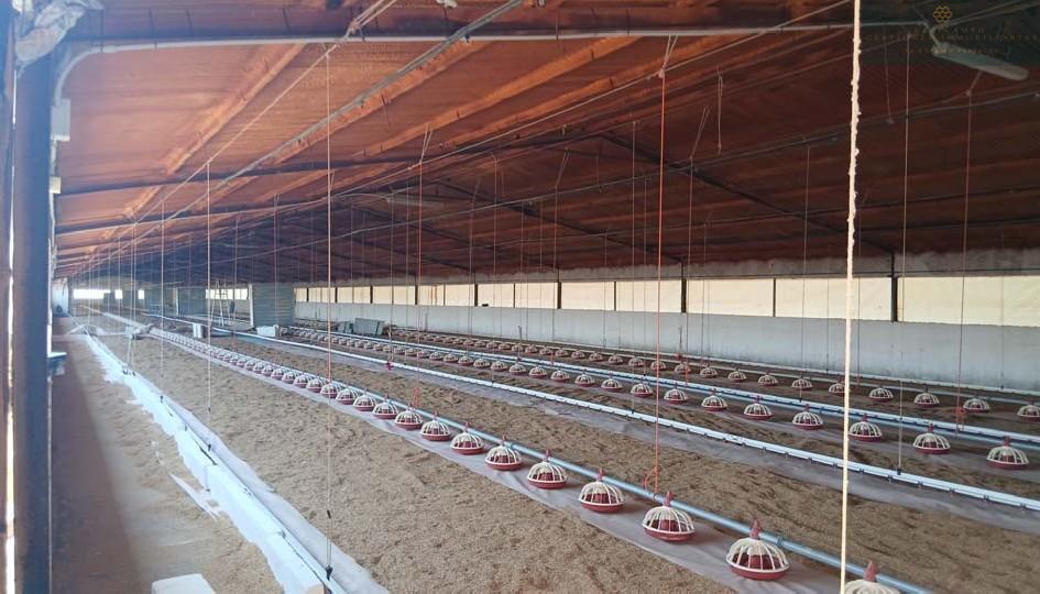Venta de finca rústica en Cristina