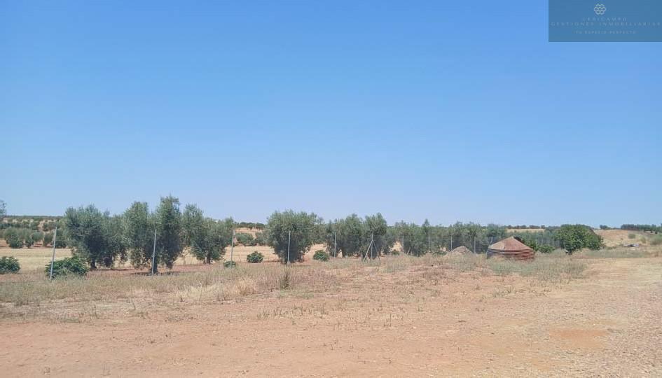 Venta de finca rústica en Cristina