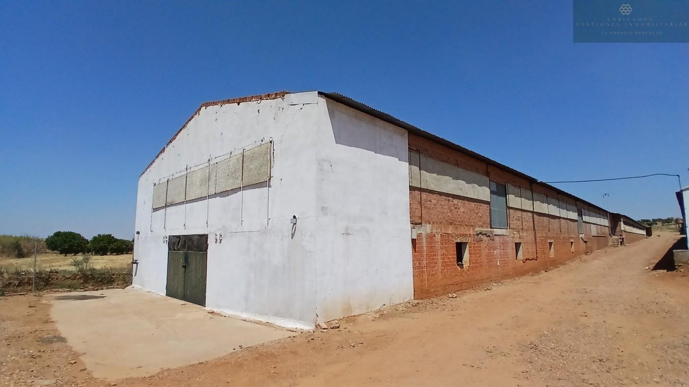 Venta de finca rústica en Cristina