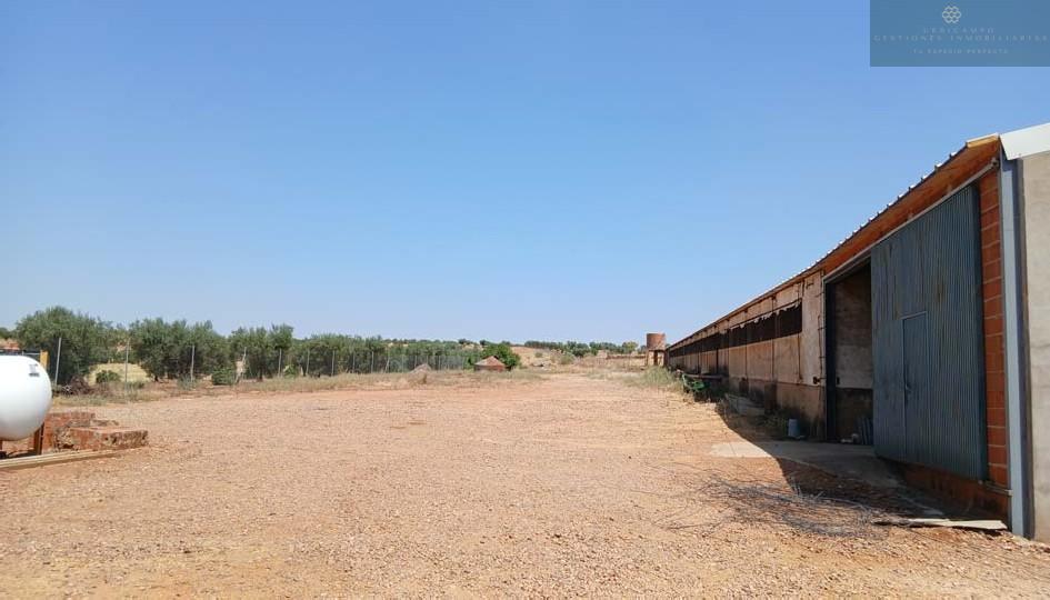 Venta de finca rústica en Cristina