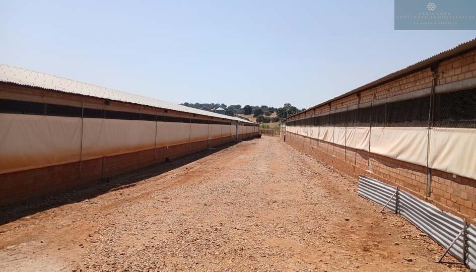 Venta de finca rústica en Cristina