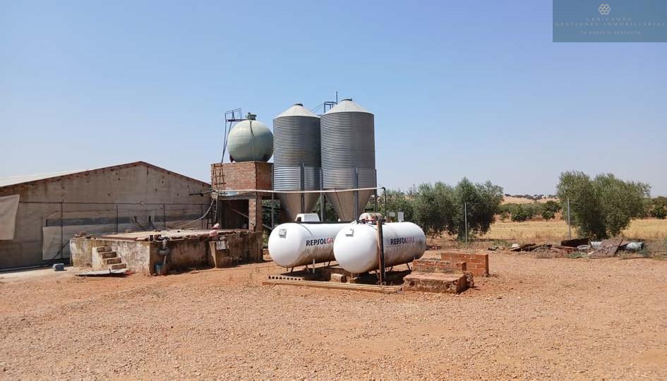 Venta de finca rústica en Cristina