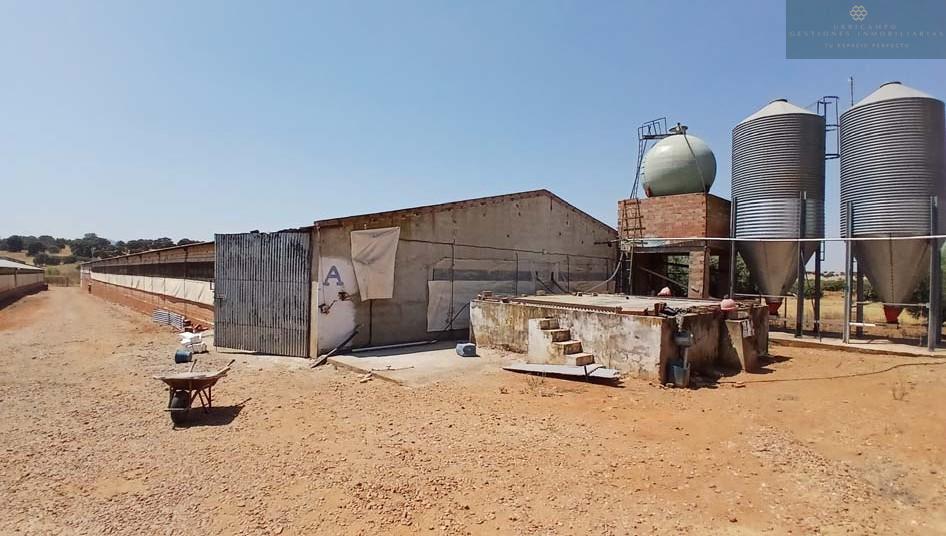 Venta de finca rústica en Cristina